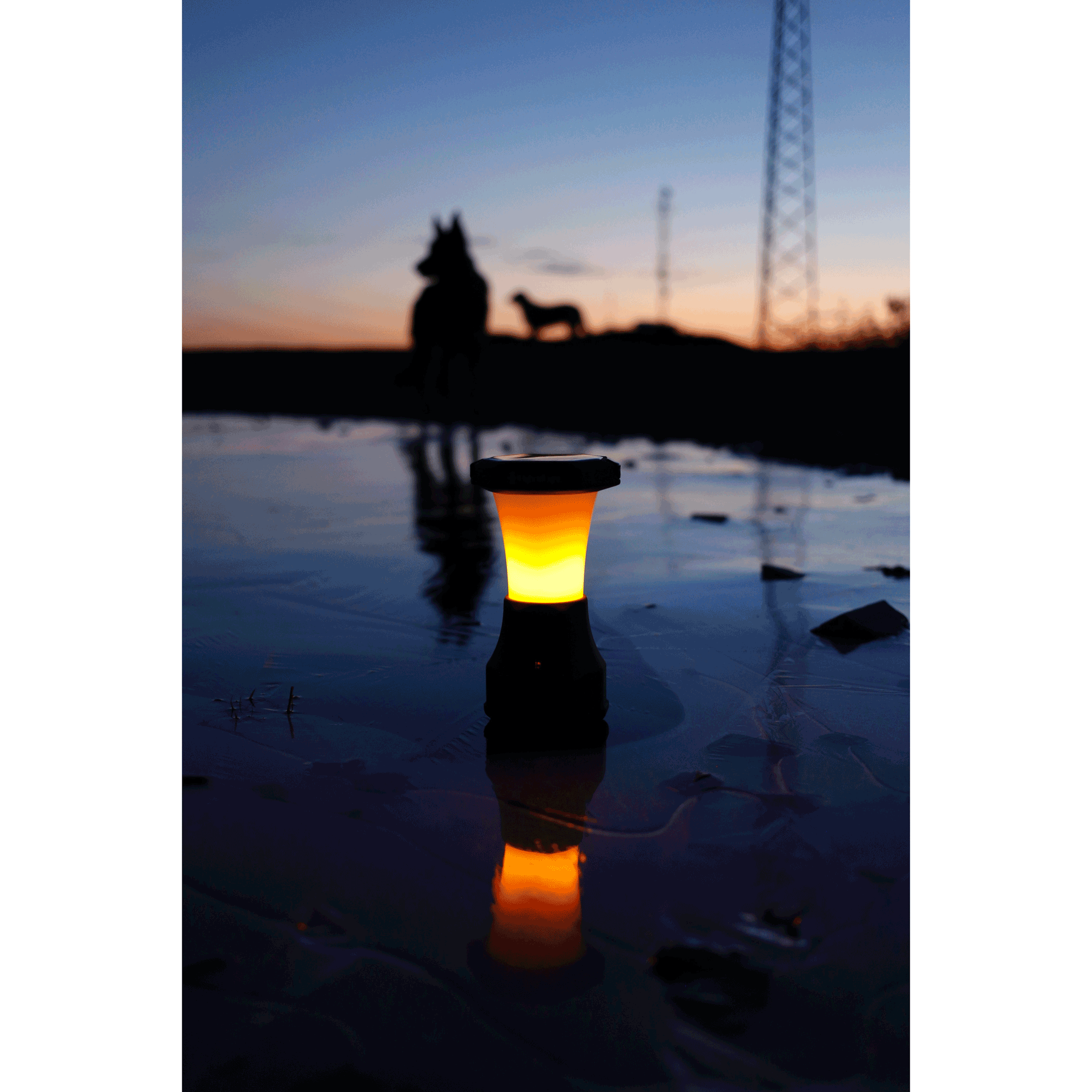 HybridLight lantern glowing outdoors at night